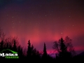 red_aurora