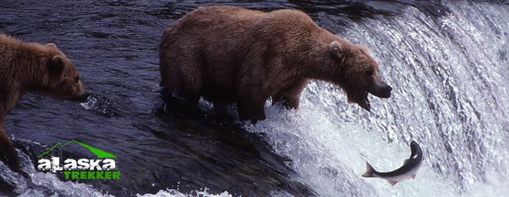 Katmai National Park