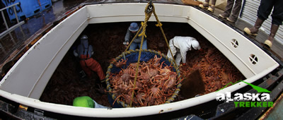 crabs_dutch_harbor