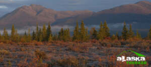 denali_highway_alaska
