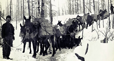 klondike_prospectors