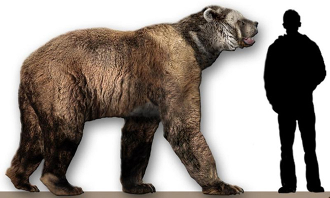 prehistoric_bear