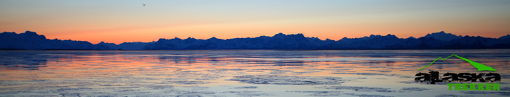 Copper River Delta picture By Dennis Zaki