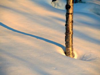 Snow Photo by Ned Rozell