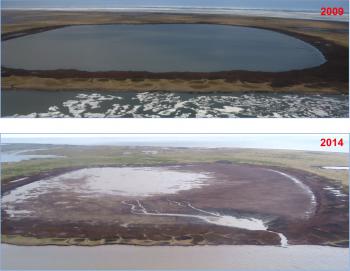 A lake on the shore of the Beaufort Sea that drained on July 5, 2014.  Image courtesy of Ben Jones. 