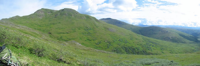 A view from the remote Kankone Peak vegetation study area in Denali National Park. Photo by Carl Roland.