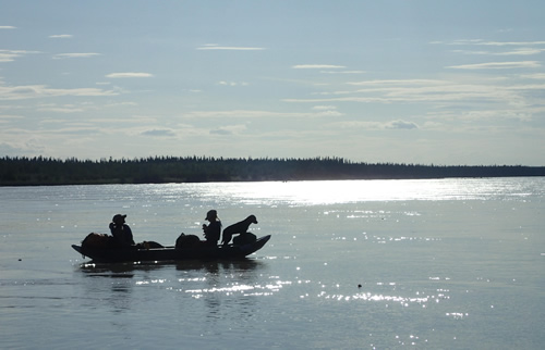 The middle Tanana River, as quiet now as it was a century ago. Photo by Ned Rozell.