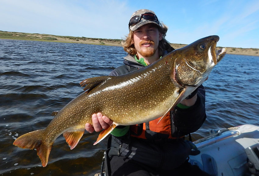 Lake Trout Alaska