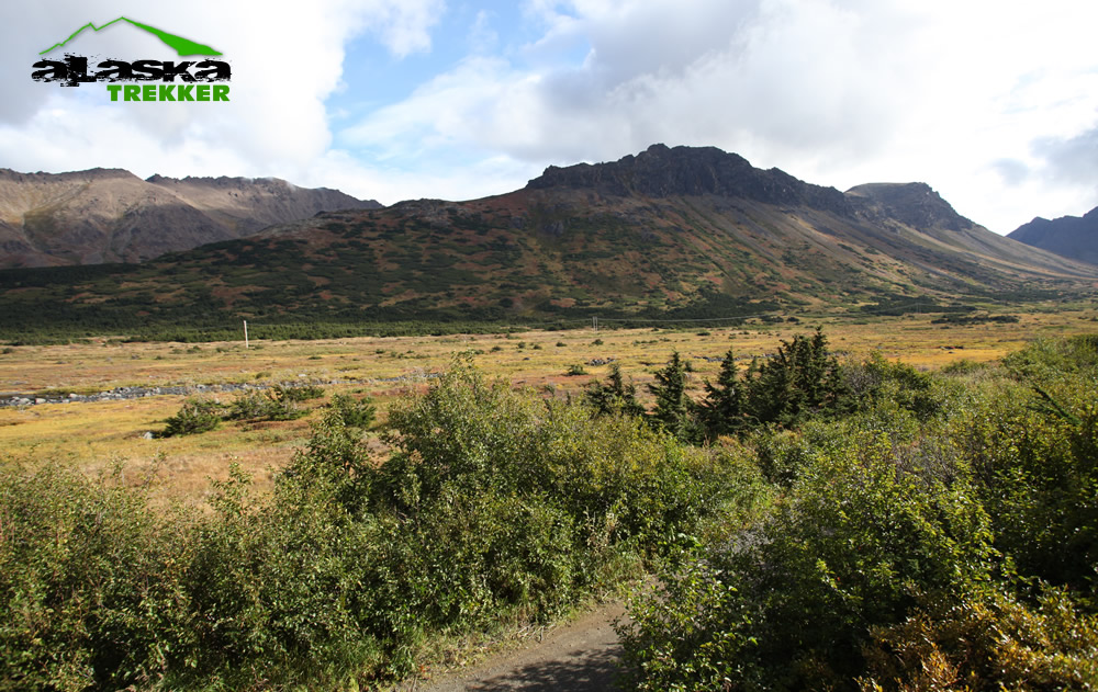 powerline_pass_anchorage