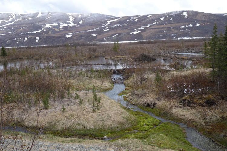 beaver dam alaska